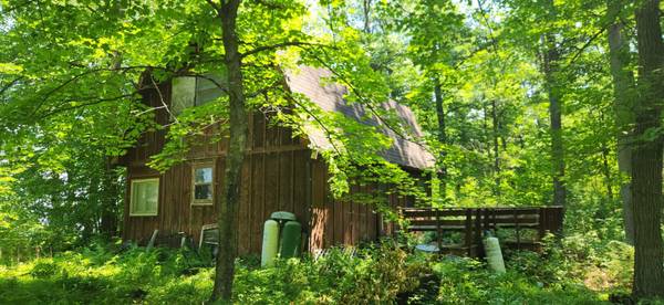 8565 Bear Island LNDG NW, Walker, MN 56484