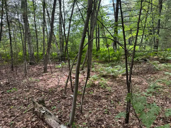 TDB Garden Dr, Siren, WI 54872