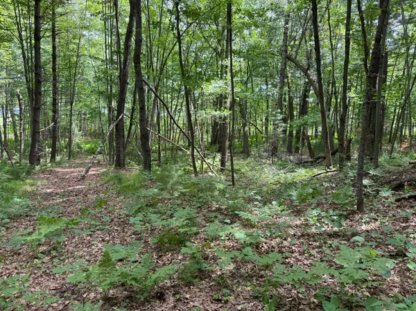 TDB Garden Dr, Siren, WI 54872