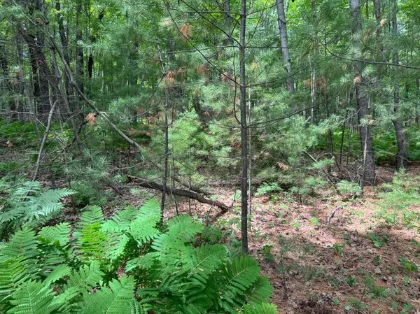 TBD Garden Dr, Siren, WI 54872