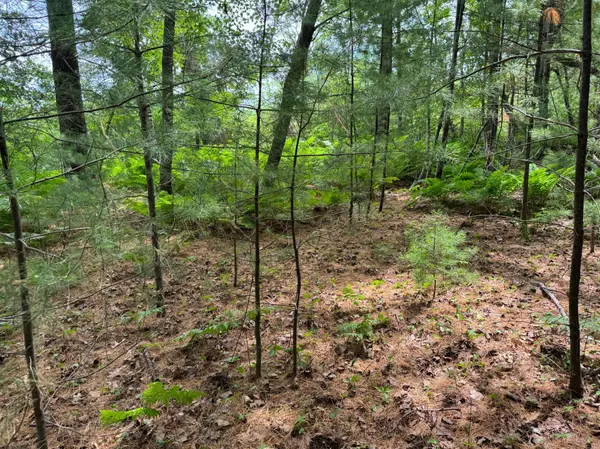 TBD Garden Dr, Siren, WI 54872