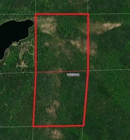 TBD S Town Line Rd, Hibbing, MN 55746