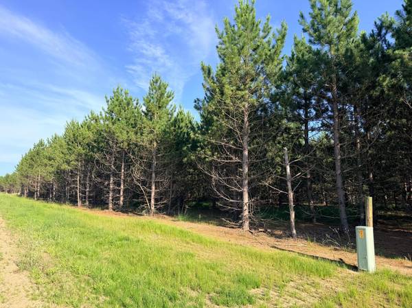 TBD Lita Lane, Menahga, MN 56464