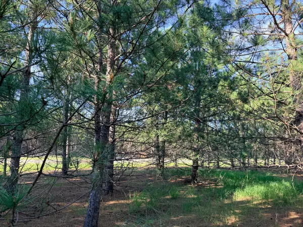 TBD Lita Lane, Menahga, MN 56464