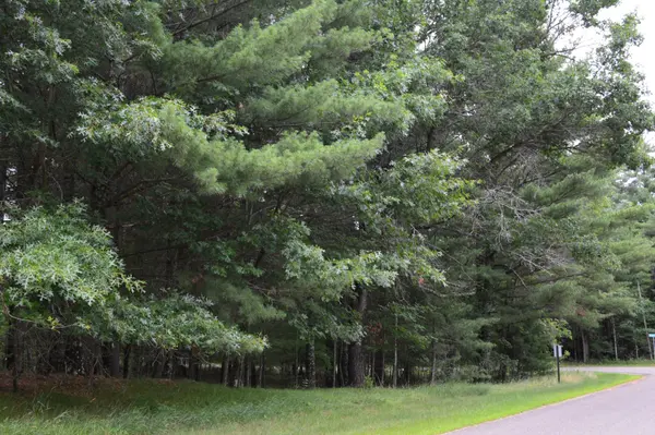 TBD Benson RD, Grantsburg, WI 54840