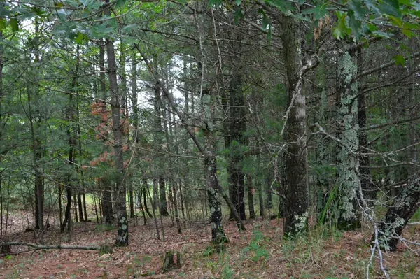 TBD Benson RD, Grantsburg, WI 54840
