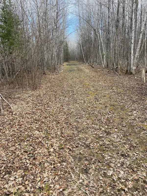 TBD COUNTY ROAD 79, Littlefork, MN 56649