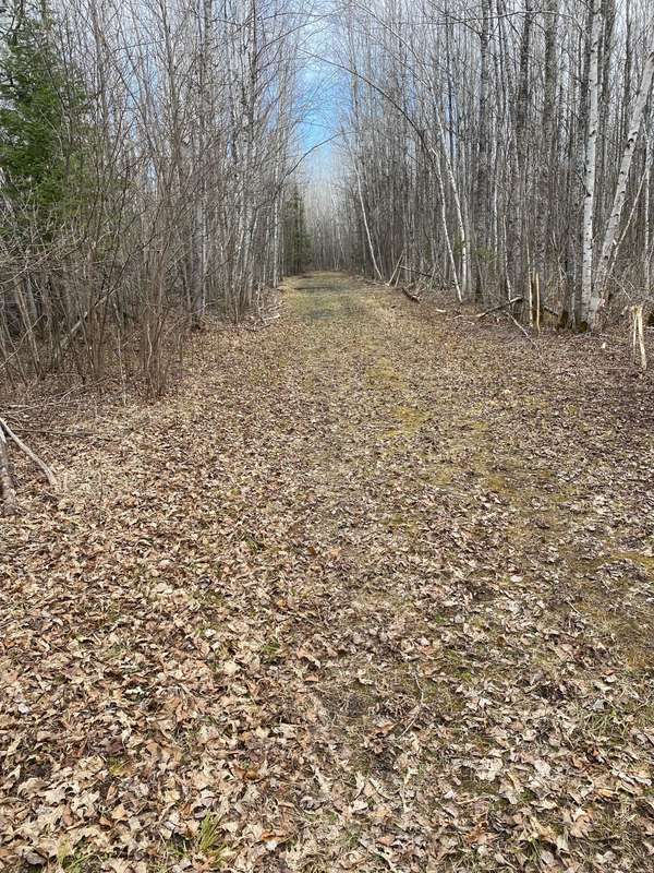 TBD COUNTY ROAD 79, Littlefork, MN 56649