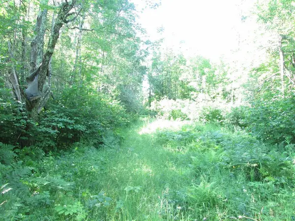 6810 Northeast RD, Wright, MN 55798