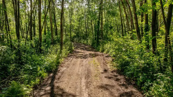 TBD W Winnie RD NE, Bena, MN 56626