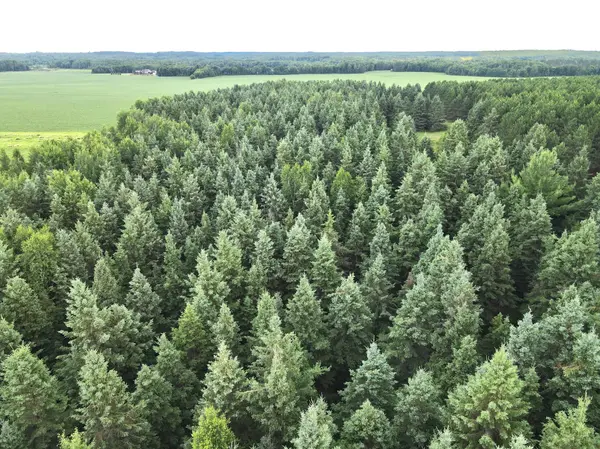 TBD-20AC Sleepy Hollow RD, Brainerd, MN 56401