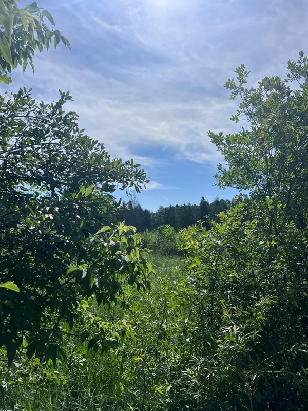TBD Main ST E, Menahga, MN 56464