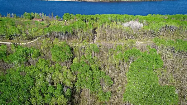 Lot 8 - TBD Driftwood LN NW, Baudette, MN 56623