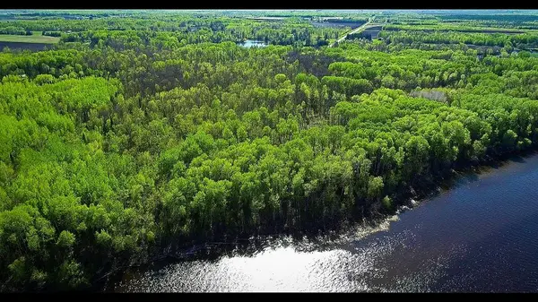 Lot 11 - TBD Driftwood LN NW, Baudette, MN 56623