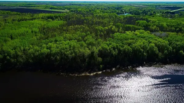 Lot 12 - TBD Driftwood LN NW, Baudette, MN 56623