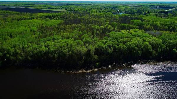 Lot 12 - TBD Driftwood LN NW, Baudette, MN 56623