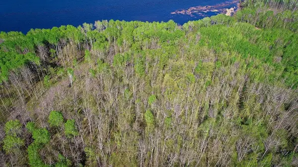 Lot 12 - TBD Driftwood LN NW, Baudette, MN 56623