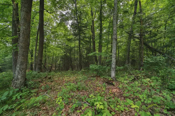 TBD Garden Ln LN, Mcgregor, MN 55760