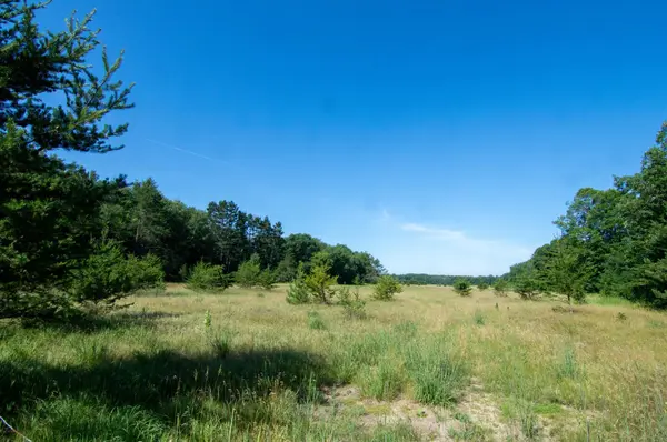 XXX County Road 19, Merrifield, MN 56465