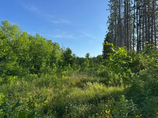 TBD-2 N Riverside RD, Moose Lake, MN 55767