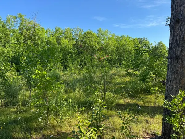 TBD-2 N Riverside RD, Moose Lake, MN 55767