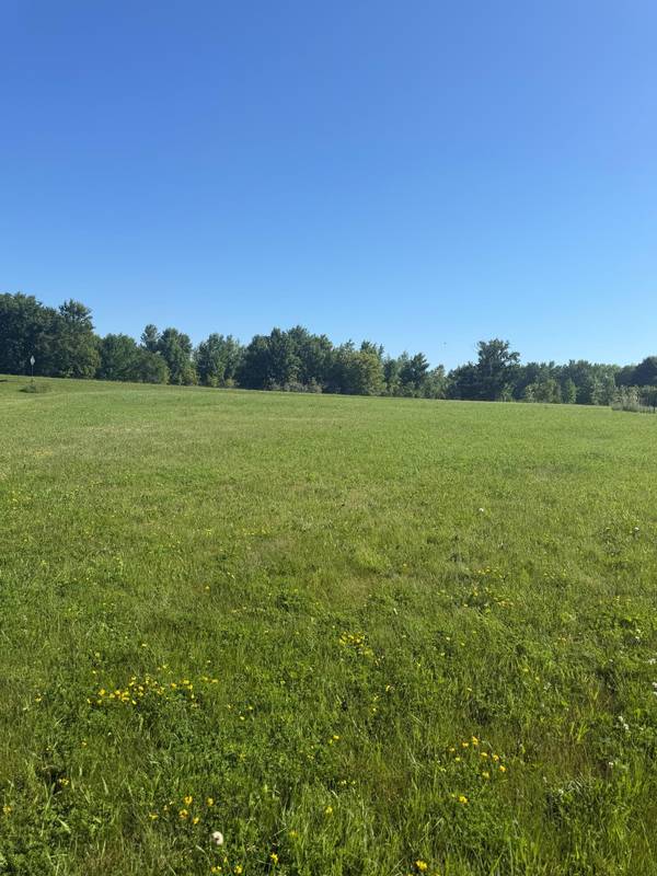 TBD Hummingbird Lane SW, Alexandria, MN 56308