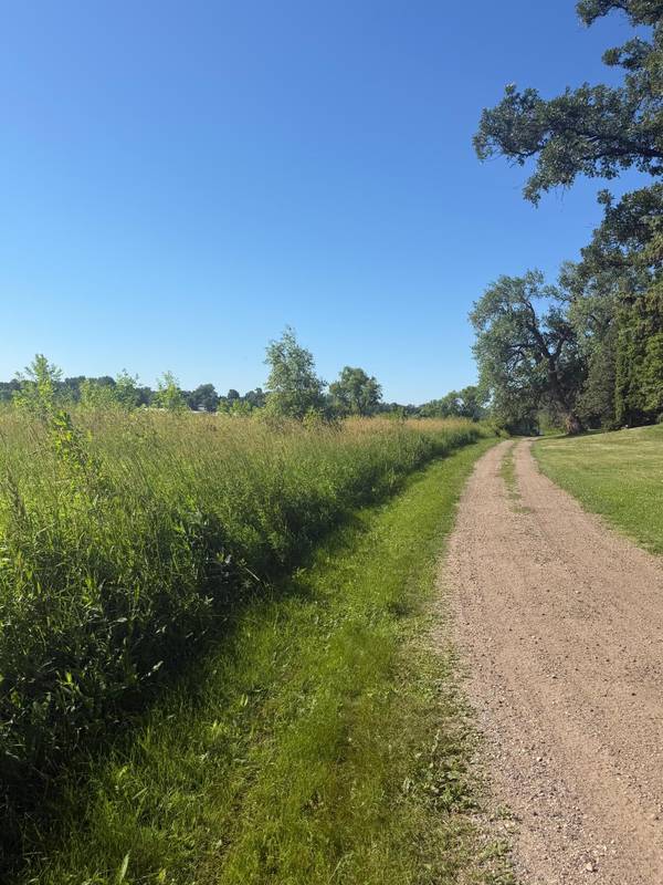 TBD Hummingbird Lane SW, Alexandria, MN 56308