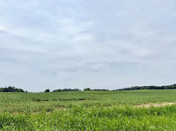 TBD (L3B2) Flamingo ST NW, Isanti, MN 55040