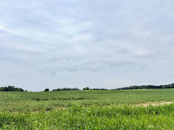 TBD (L3B2) Flamingo ST NW, Isanti, MN 55040