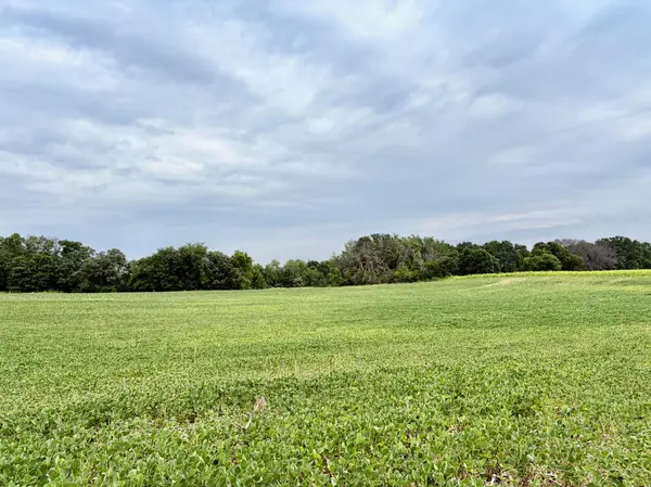 TBD (L12B2) County Road 5 NW, Isanti, MN 55040