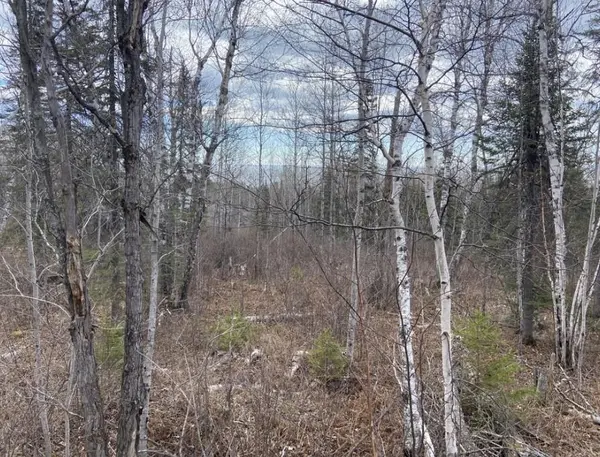 000 Aspen LN, Silver Bay, MN 55614