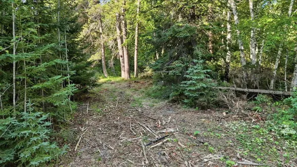 34488 Clearwater RD, Grand Rapids, MN 55744