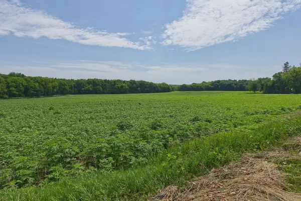 TBD2 Ingram AVE SW, Howard Lake, MN 55349