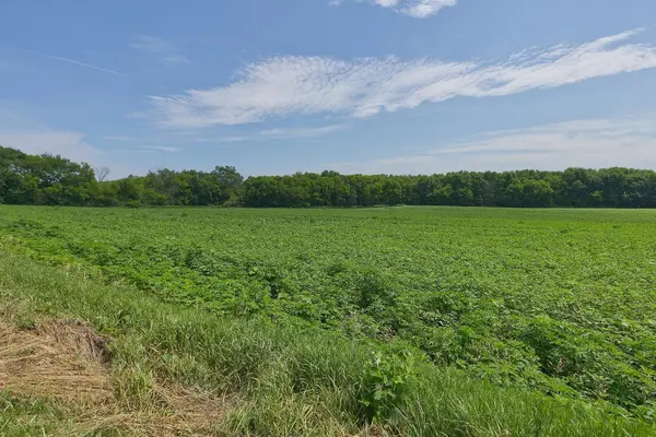TBD2 Ingram AVE SW, Howard Lake, MN 55349