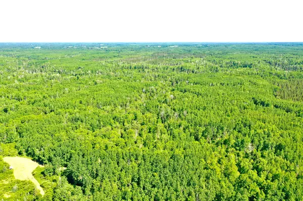 2359 County Road 8, Holyoke, MN 55749