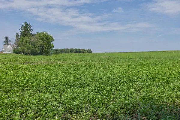 TBD3 Ingram AVE SW, Howard Lake, MN 55349