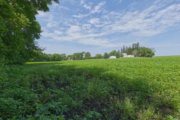 TBD5 Ingram AVE SW, Howard Lake, MN 55349