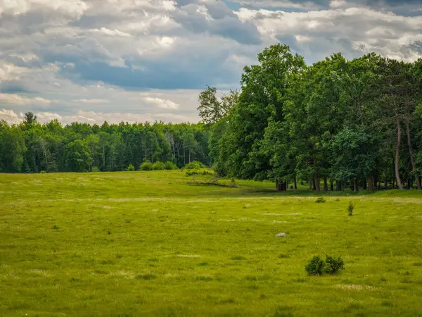 320th 320th, Shevlin, MN 56676