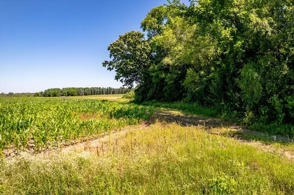 XXX Sugarbush Road, Nowthen, MN 55330