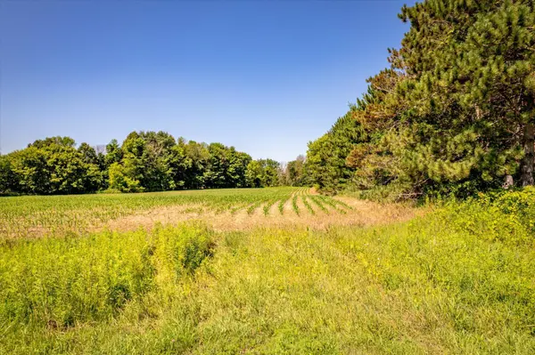 XXX Sugarbush Road, Nowthen, MN 55330