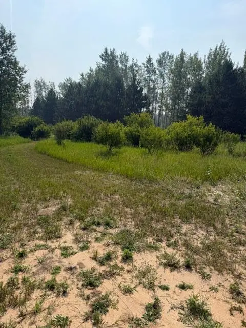 xxx County Rd 26, Verndale, MN 56481