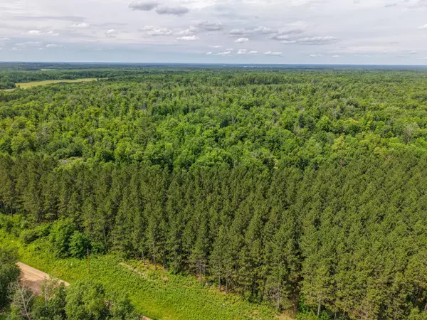 80 Acres Pike Bay Loop RD NW, Cass Lake, MN 56633
