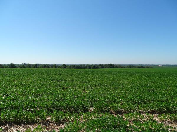 000 170th Avenue, Plum City, WI 54761