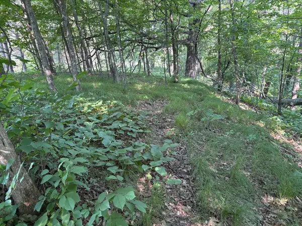 320th 320th ST,  Browerville,  MN 56438