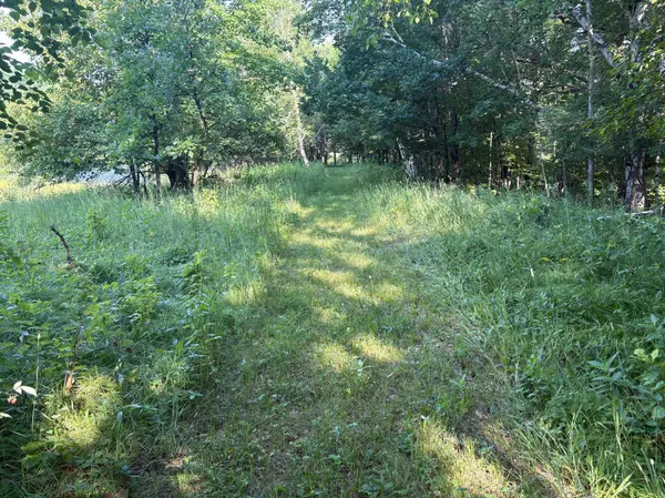320th 320th ST, Browerville, MN 56438