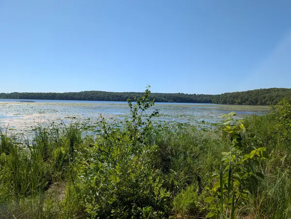 3223 Sebie Lake RD, Fort Ripley, MN 56449