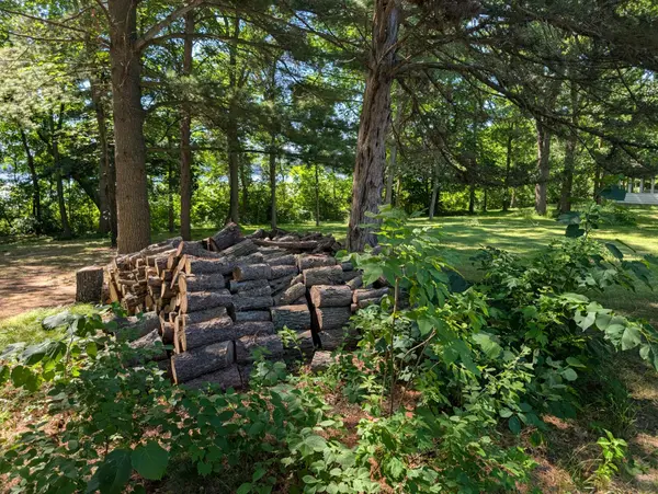 3223 Sebie Lake RD, Fort Ripley, MN 56449