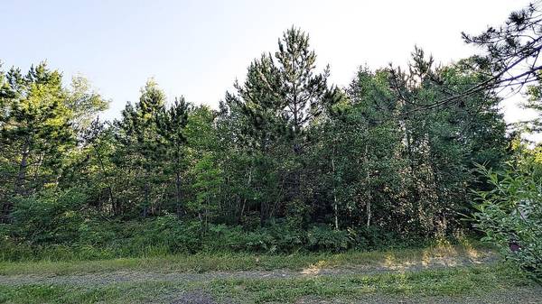 Lot B Hwy. 24, Orr, MN 55771