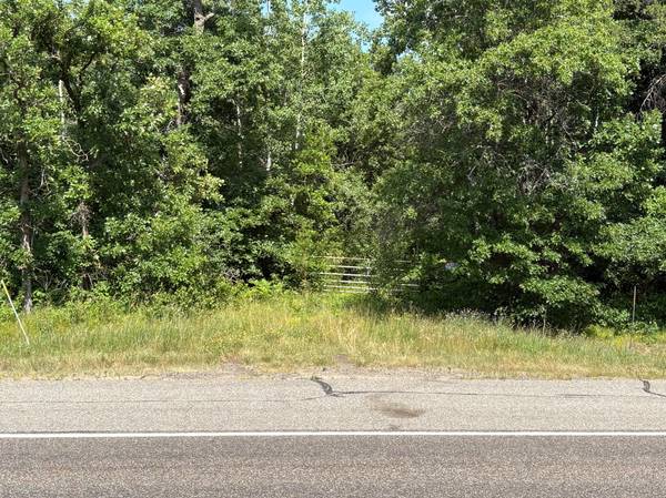 TBD (East side 371) Hwy 371 (East Side), Jenkins, MN 56472