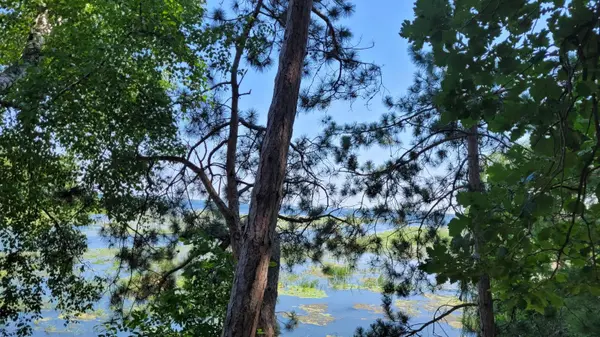 36803 Pine Knolls CIR, Pine River, MN 56474